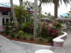 RadissonGarden.jpg (178536 bytes)