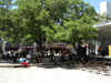AlamoStreet.jpg (225678 bytes)