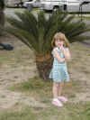 NicolePlant.jpg (88957 bytes)
