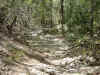PantherCanyon.jpg (262613 bytes)