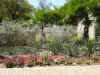 SanAntonioGardens.jpg (275580 bytes)